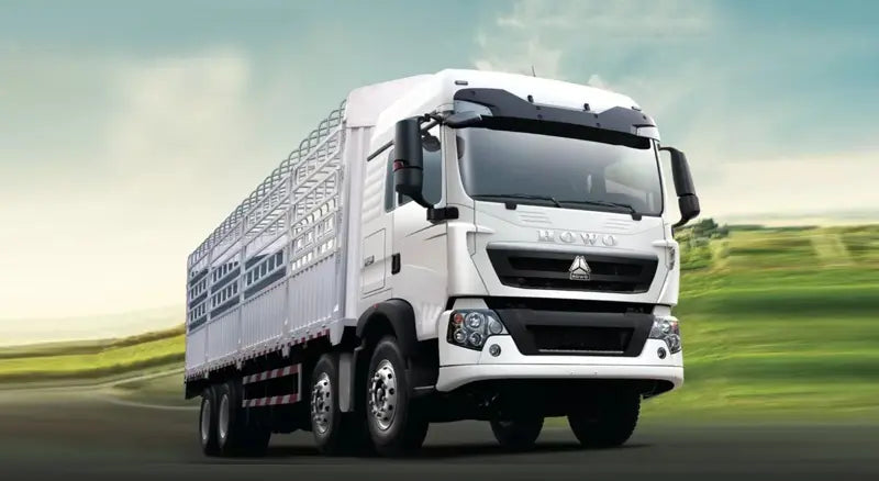 Camion cargo avec clôture HOWO TX 6X4