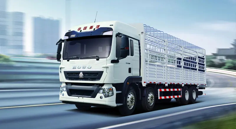 Camion cargo avec clôture HOWO TX 6X4