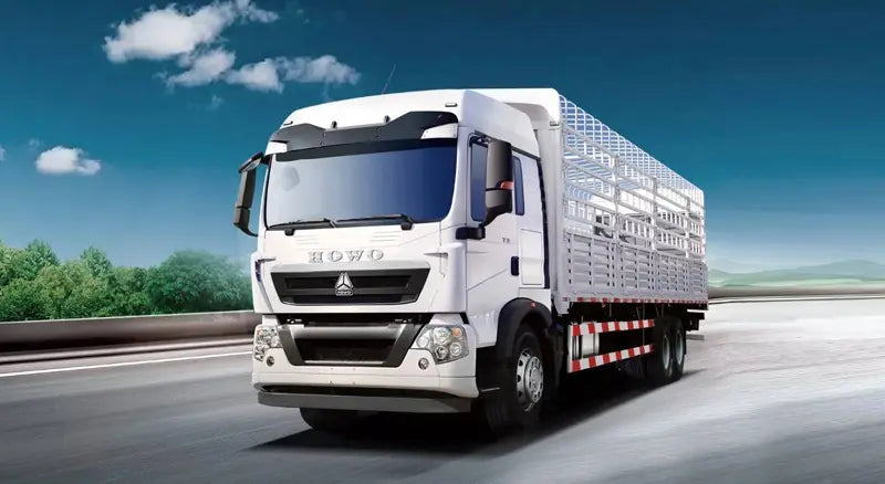Camion cargo avec clôture HOWO TX 6X4