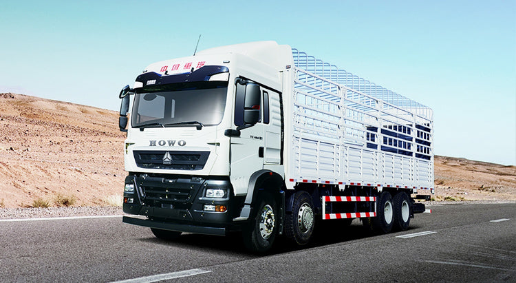 Camion cargo Howo TX 8X4